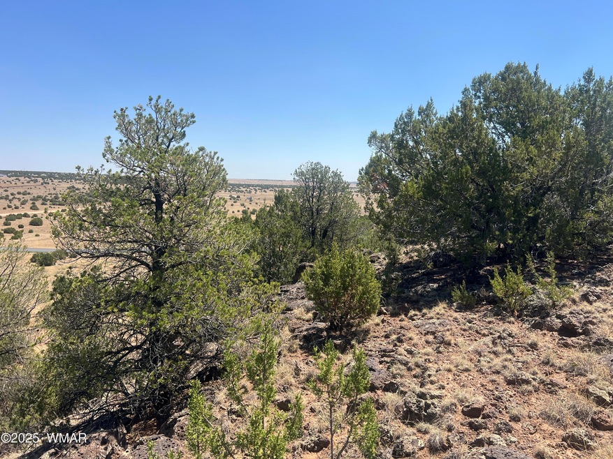 5 County Rd unit 8095, Concho, AZ 85924 - photo 1