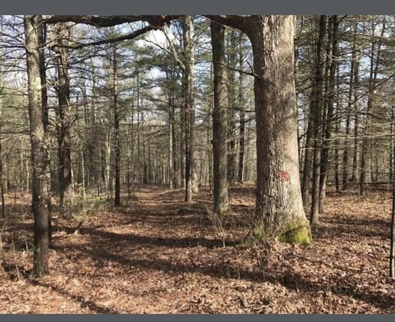 0 Ware St, Palmer, MA 01069 - photo 1