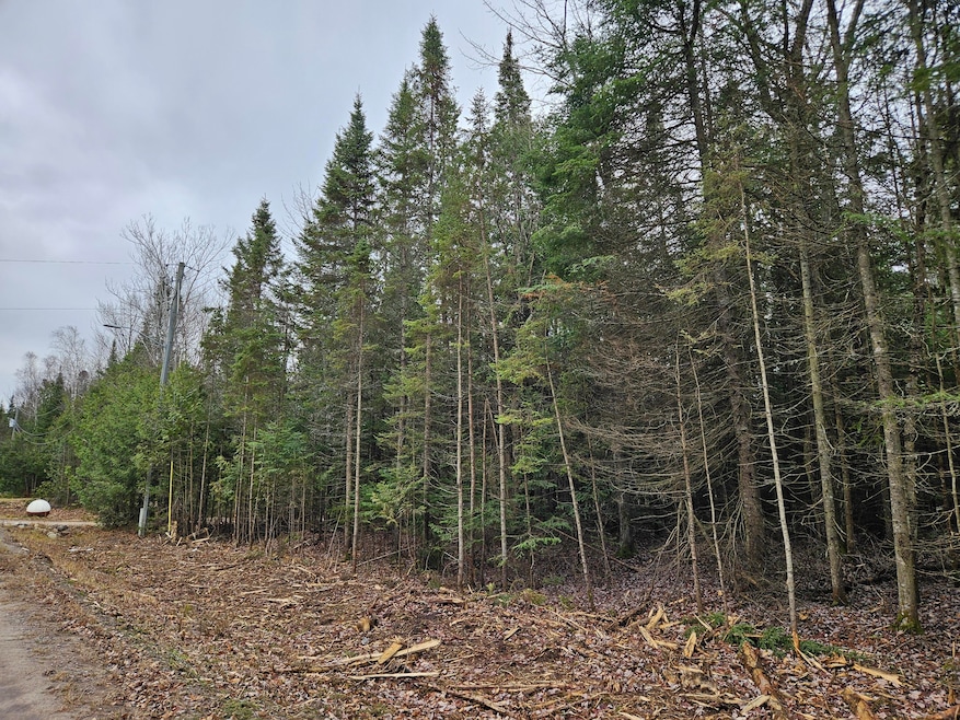 Cedar Property