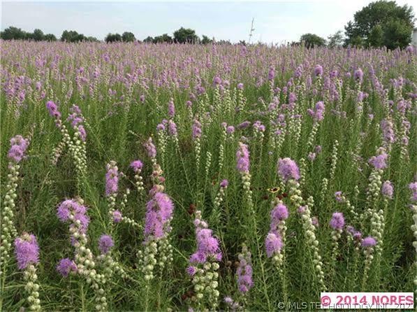 210 E 131st St S, Jenks, OK 74037 - photo 1