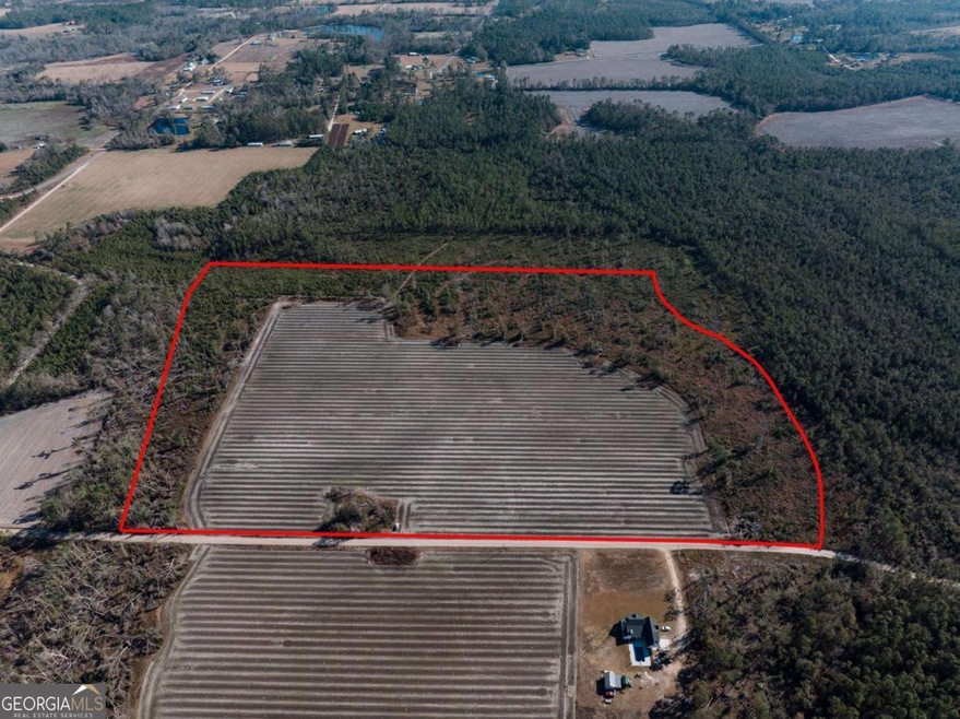 0 Chesapeak Rd unit 10427281, Alma, GA 31510 - photo 1