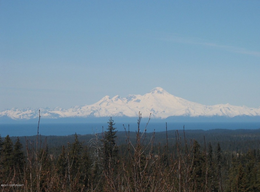 Cook Inlet and Volcano views