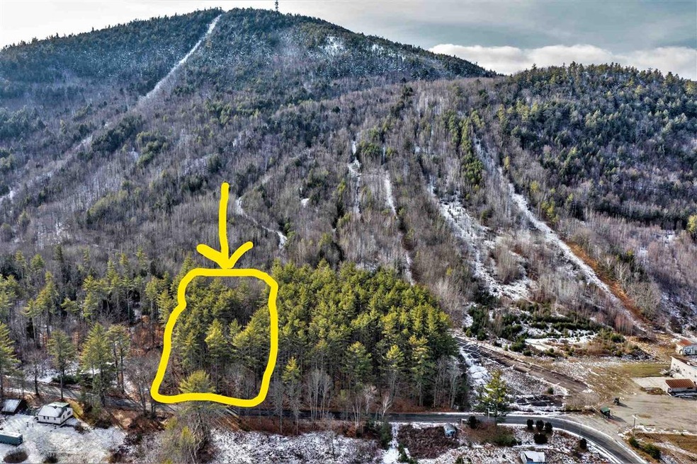 305 Newman Drew Rd, Ossipee, NH 03890 - photo 1