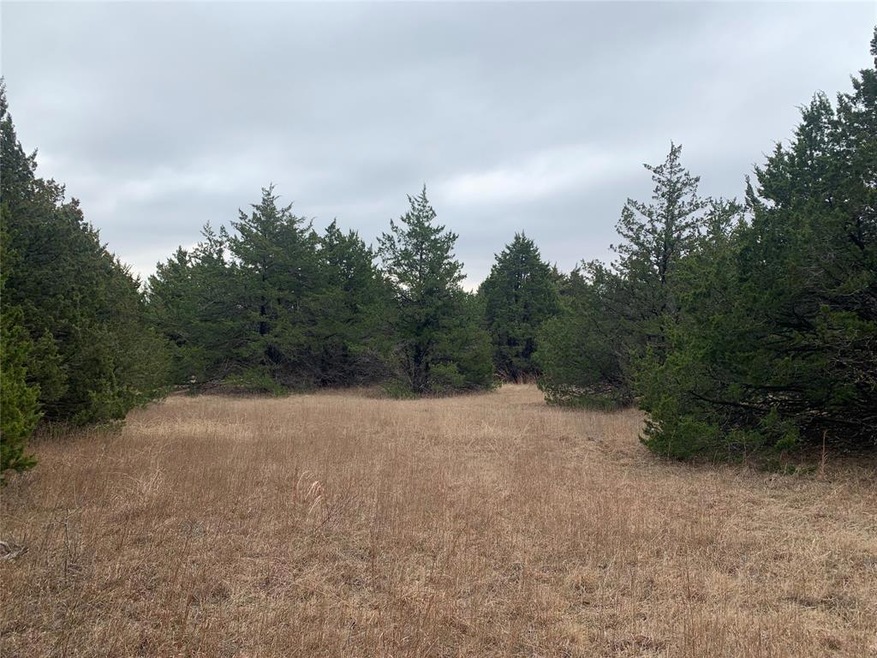 TBD Isbon- Tract 2, Whitesboro, TX 76273 - photo 1