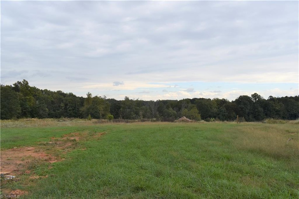This lot is perfect for morning sunrise views or solar homes. This view is towards the east.