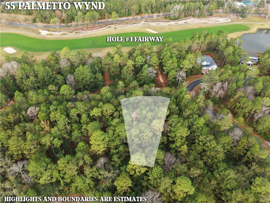 Lot 55 Palmetto Wynd, Waverly, GA 31565 - photo 1