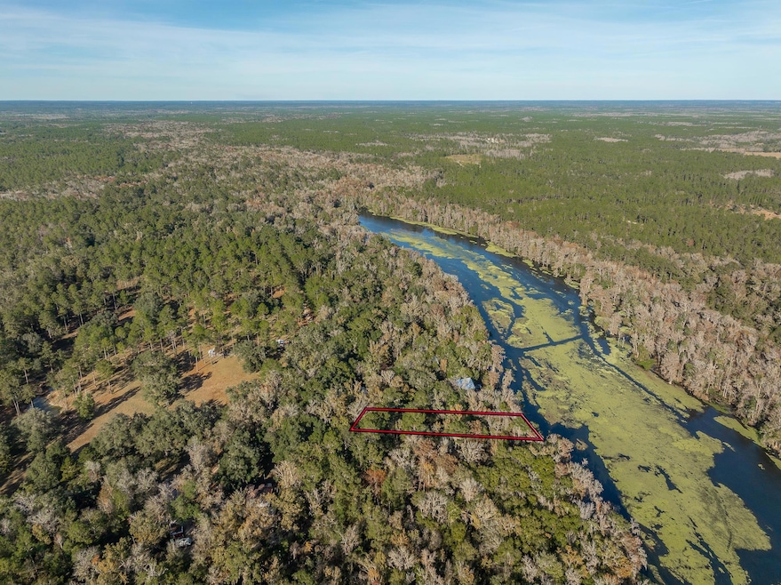 85 Saint Marks Rise Rd, Crawfordville, FL 32327 - photo 1