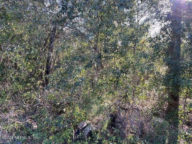 0 Unassigned Address unit 2004537, Hawthorne, FL 32640 - photo 1