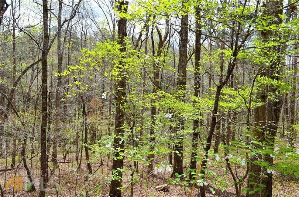 6055 Pineknoll Ct, Villa Rica, GA 30180 - photo 1