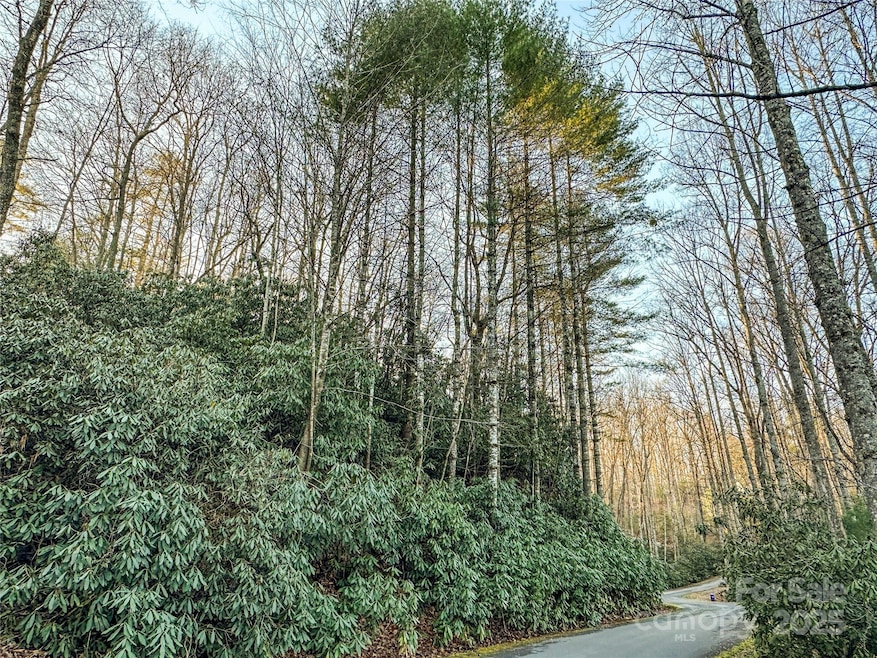 D17 Caroline Ln, Pisgah Forest, NC 28768 - photo 1