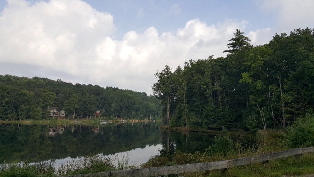 Main View