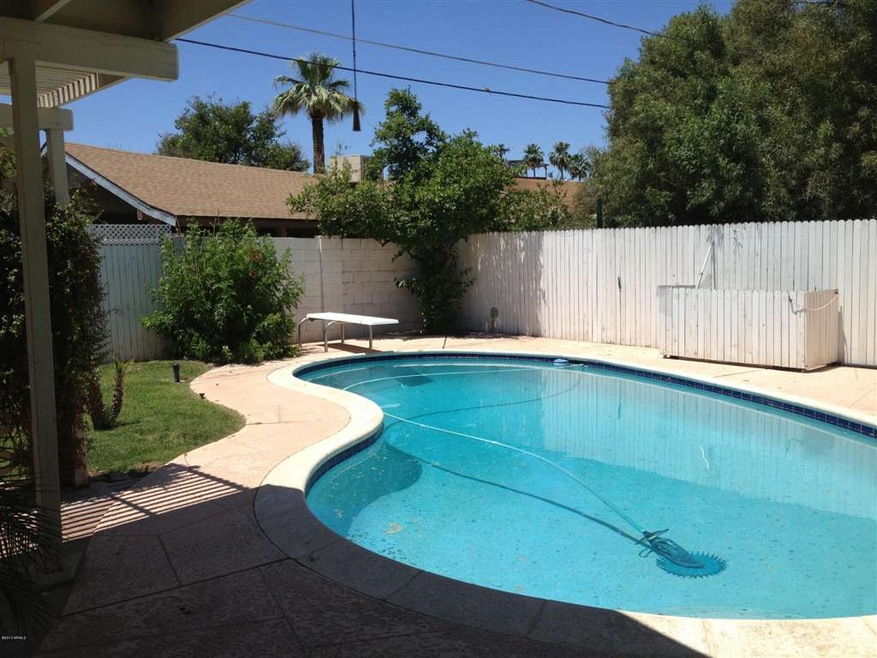 Large Swimming Pool