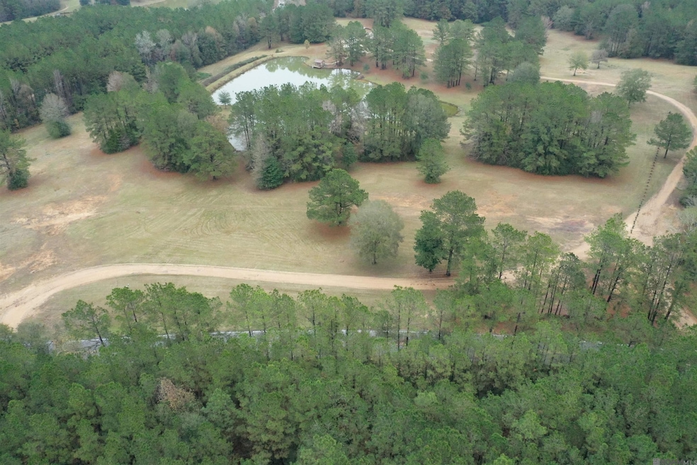 Lot 4-B-1 Louisiana 421, Saint Francisvle, LA 70775 - photo 1