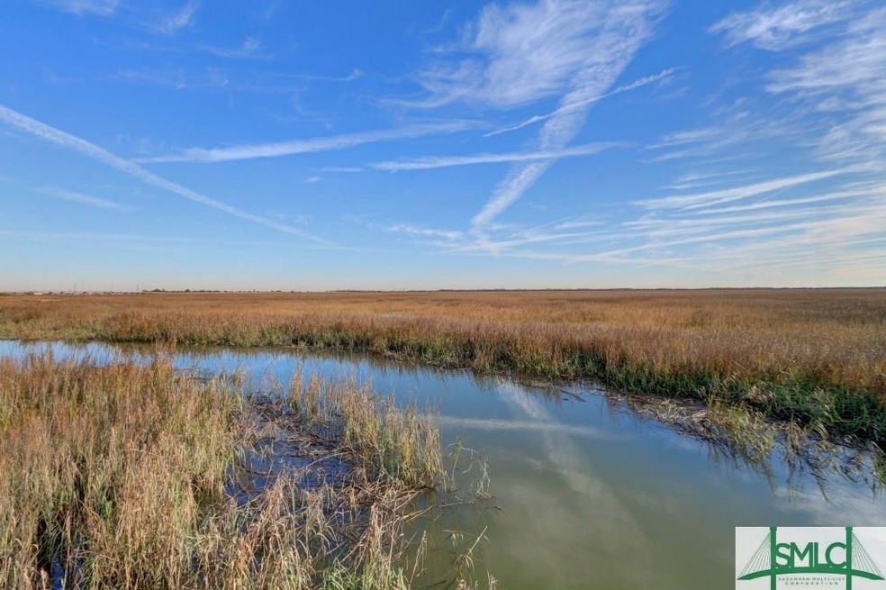 216 Fish Hawk Ln, Savannah, GA 31410 - photo 1