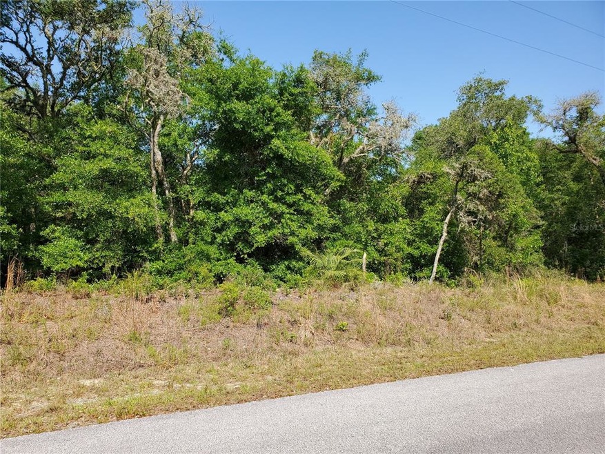 LOTS 13 & 14 SW Valencia Heights Ave, Dunnellon, FL 34431 - photo 1