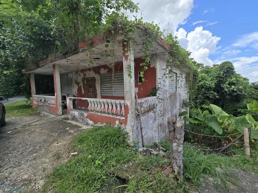 1 Bo Lomas, Canovanas, PR 00729 - photo 1