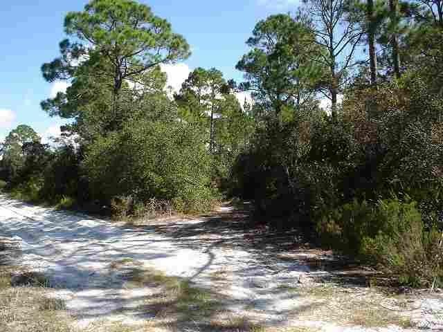 0 Yates Creek Rd unit 219979, Perry, FL 32348 - photo 1