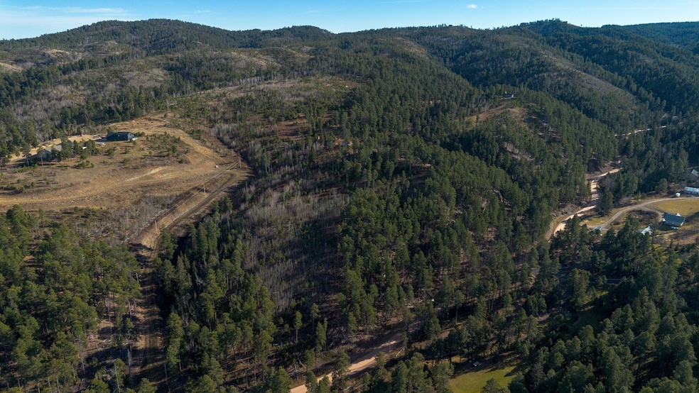 Lot 40 Noble Grand Loop, South Lawrence, SD 57785 - photo 1