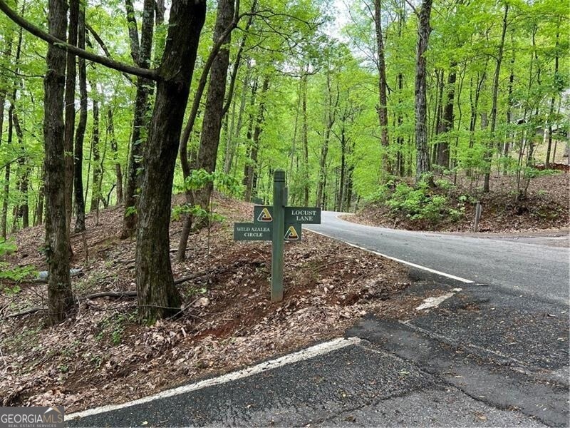 View of street with a wooded view