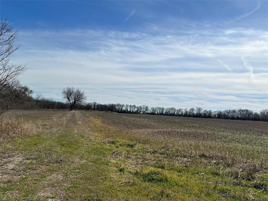 10207 W Ennis Ave, Ennis, TX 75119 - photo 1