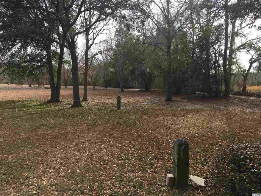 1962 Highway 905, Conway, SC 29526 - photo 1