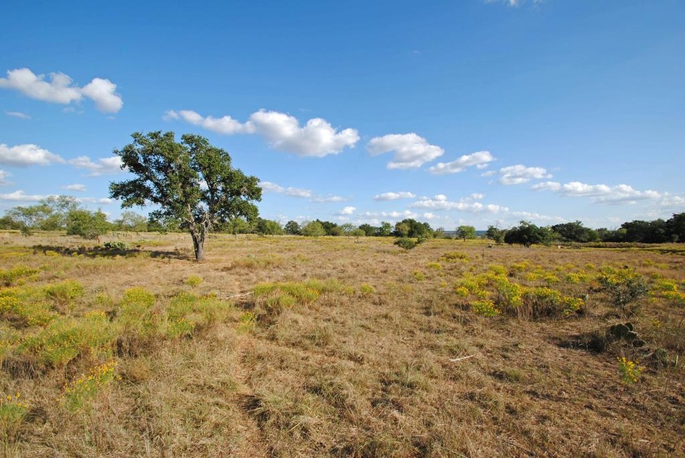 523 Funf Kinder Rd, Fredericksburg, TX 78624 - photo 1