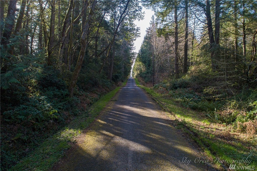 0 Otso Point Rd unit 1609342, Anderson Island, WA 98303 - photo 1