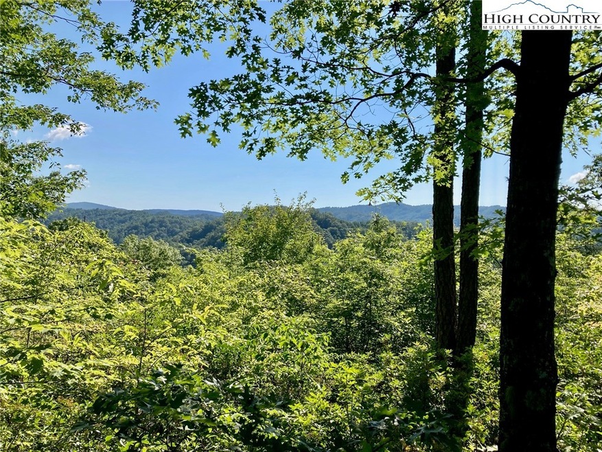 TBD Lady's Mantle Ln, Ferguson, NC 28624 - photo 1