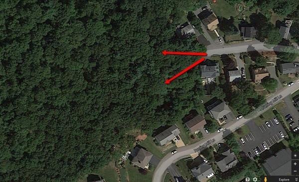 8 Holliston St, Quincy, MA 02169 - photo 1