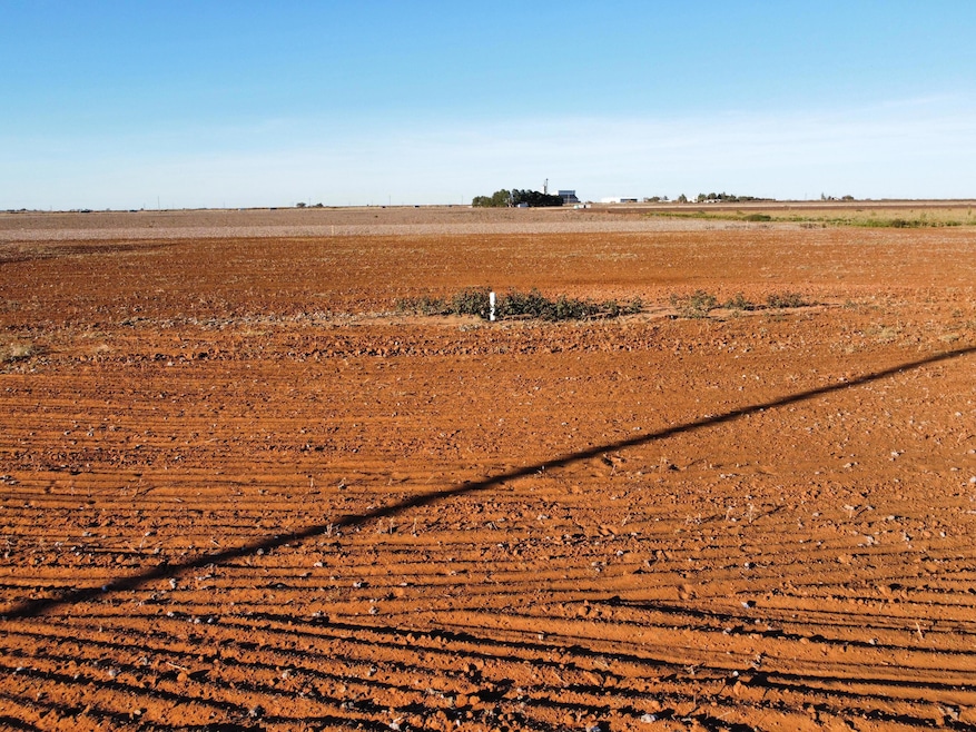 6641 Tiger Rd, Ropesville, TX 79358 - photo 1