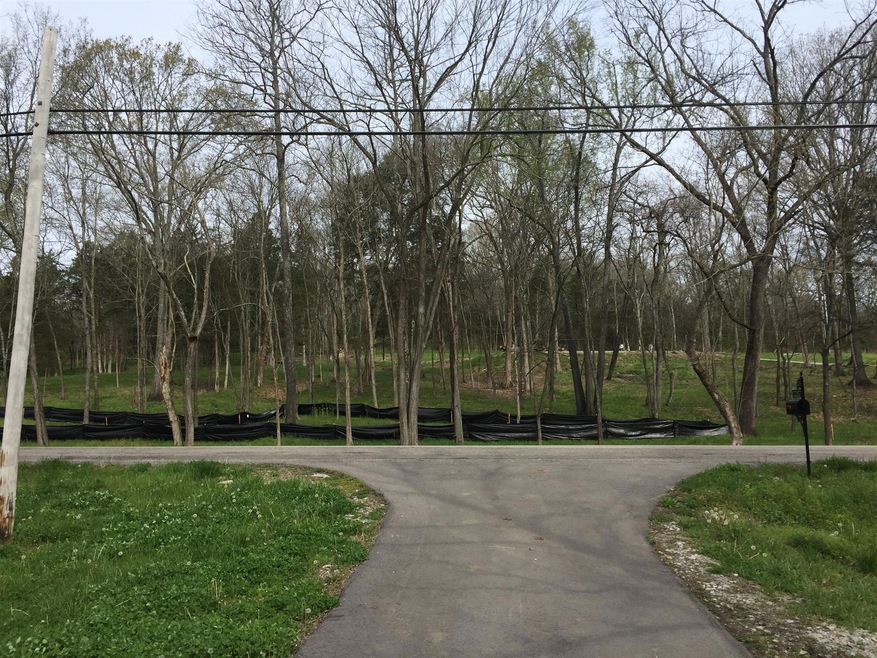 looking at land from across the street. Septic already approved and plans stamped by County for a 3/2 home