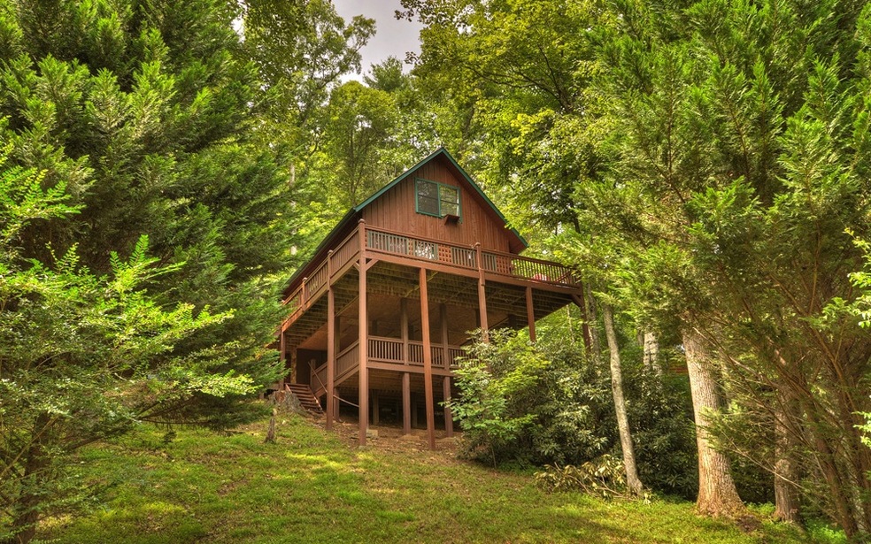 Main View