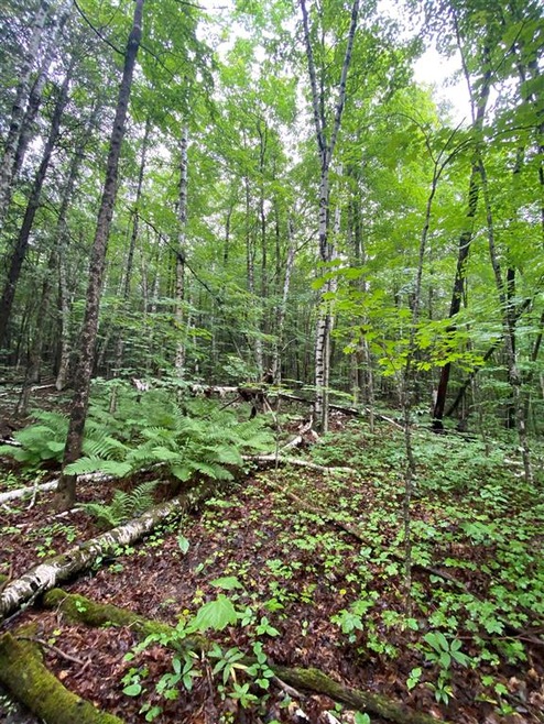 2899 Vermont 5a, Orleans, VT 05860 - photo 1