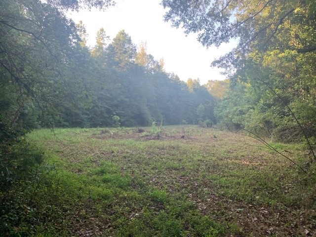 0 Lonesome Dove unit 20220657, Elberton, GA 30635 - photo 1