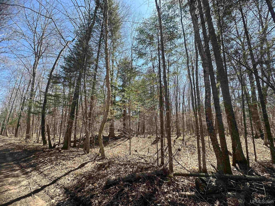For Sale $6,000 • Co-Listing Agent
