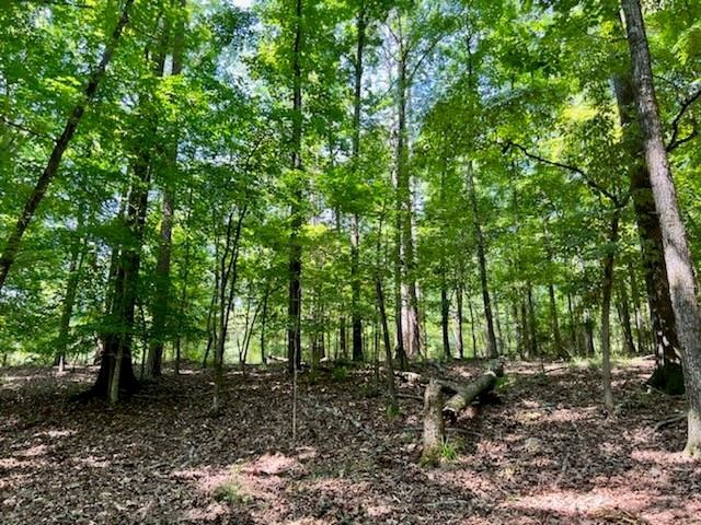 Sold $285,000 • Co-Listing Agent