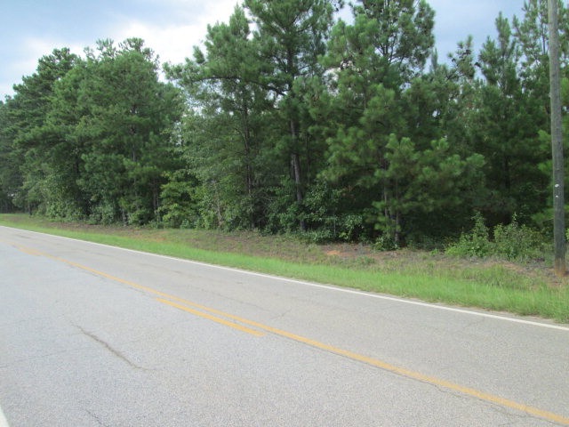 3930 Gordon Hwy, Harlem, GA 30814 - photo 1