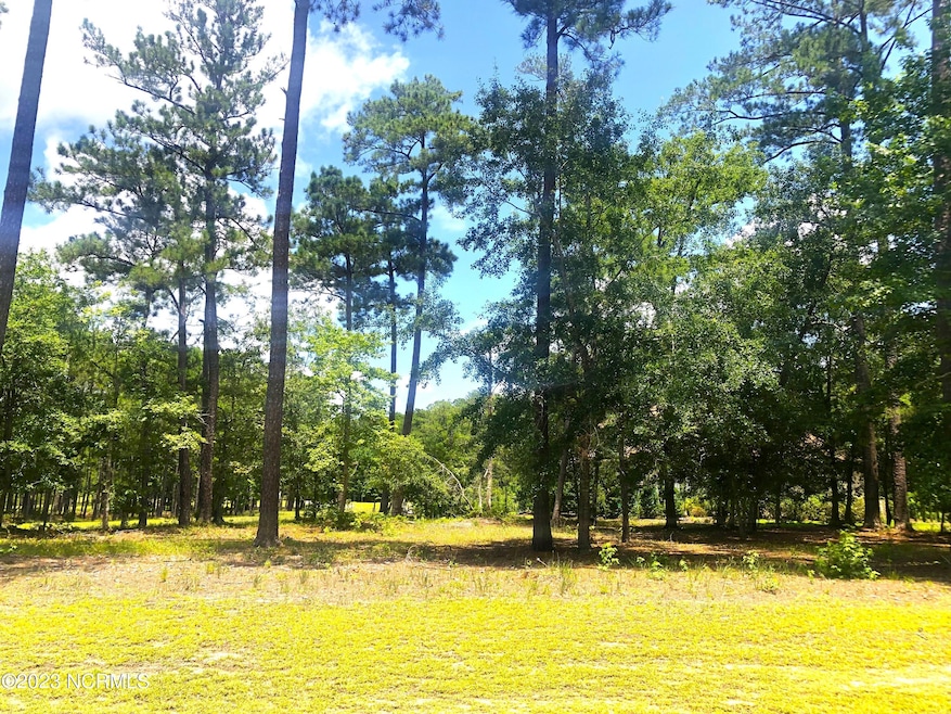 580 Lindgrove Place SW, Ocean Isle Beach, NC 28469 - photo 1