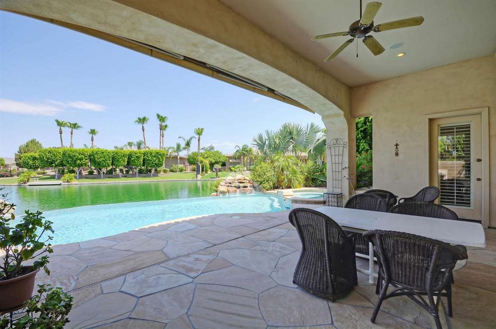 Amazing  Backyard