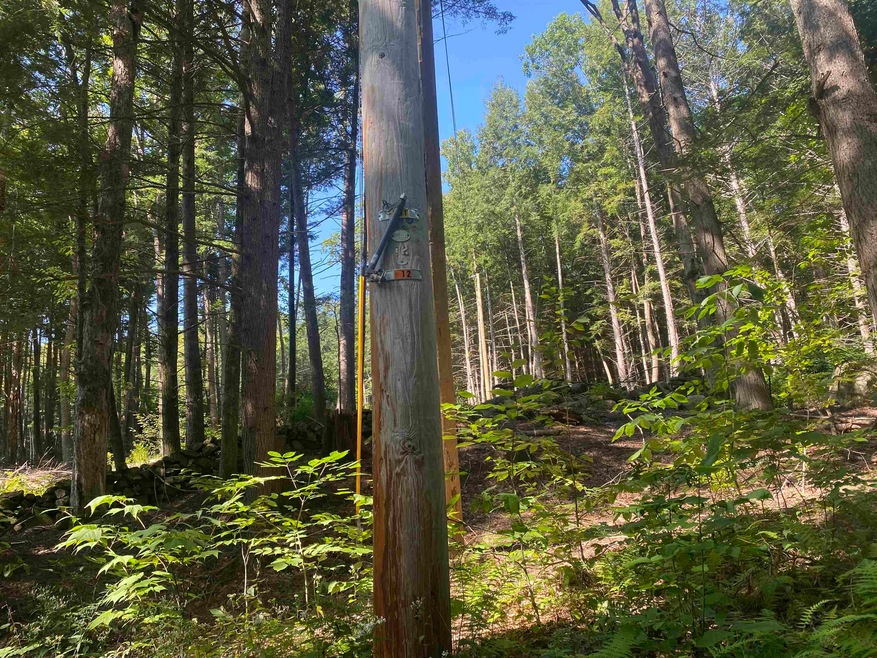 109 Butterfield Hill Rd, Westmoreland, NH 03467 - photo 1