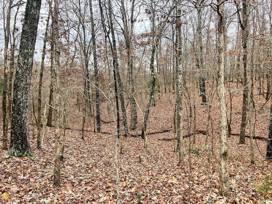 Tbd Us Highway 160, Tecumseh, MO 65760 - photo 1