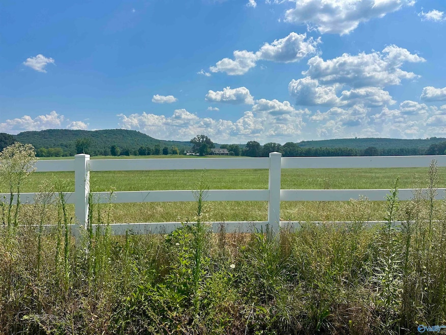Tract C Old Memphis Pike, Tuscumbia, AL 35674 - photo 1