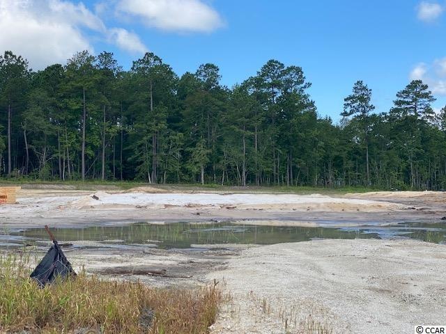 4380 Dew Ln unit Cottonwood Plan, Conway, SC 29527 - photo 1