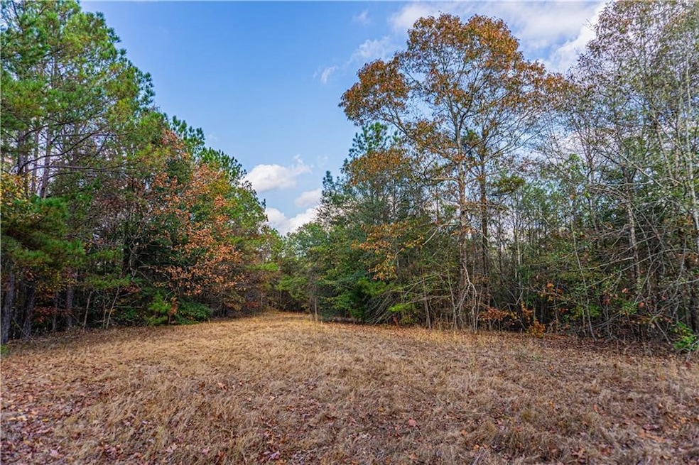 0 Lee Road 175 unit 177730, Salem, AL 36874 - photo 1