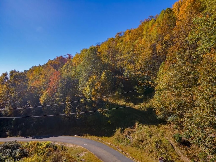 Starry Nights Dr, Fancy Gap, VA 24328 - photo 1