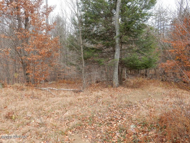 lot 34 pole bridge