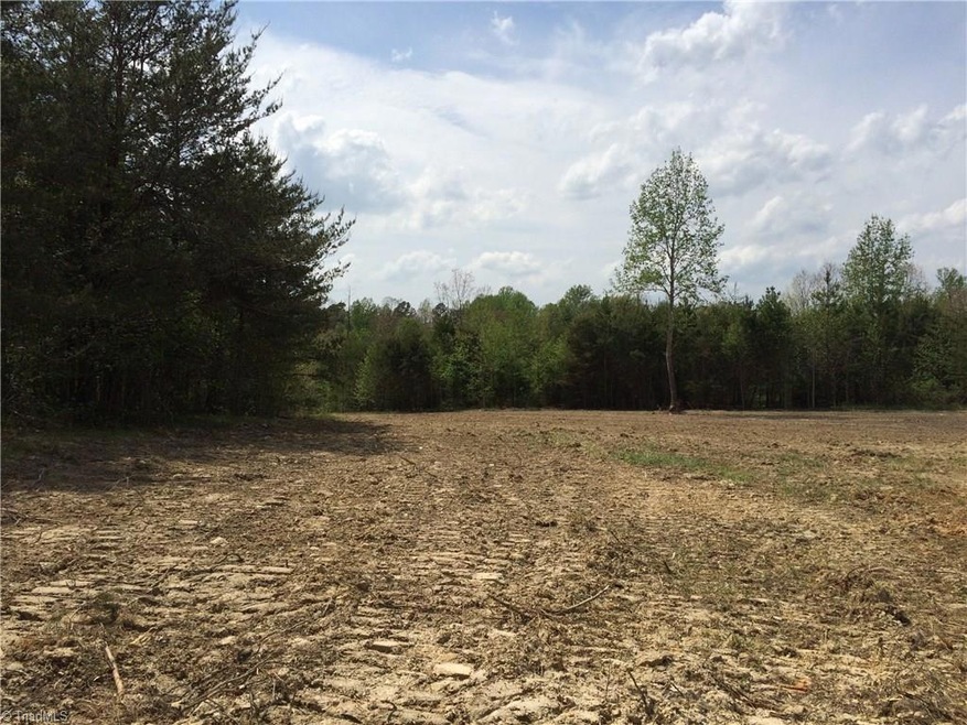 0 Holman Mill Rd unit 792585, 8, Newlin, NC 27349 - photo 1