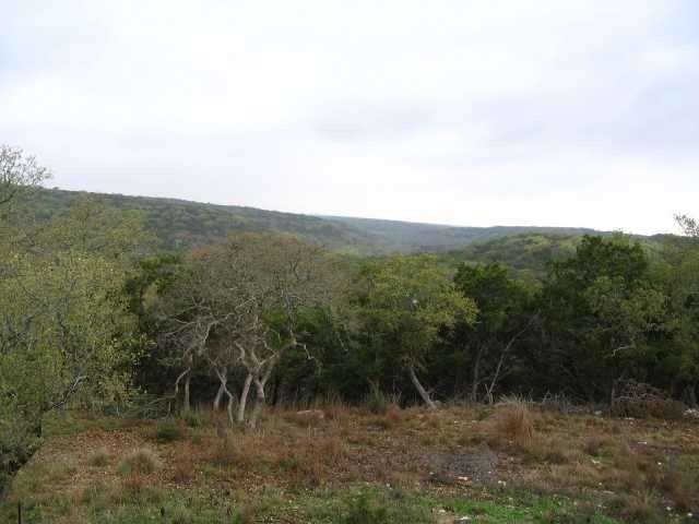 Exterior Front : Long view out over Bull Creek