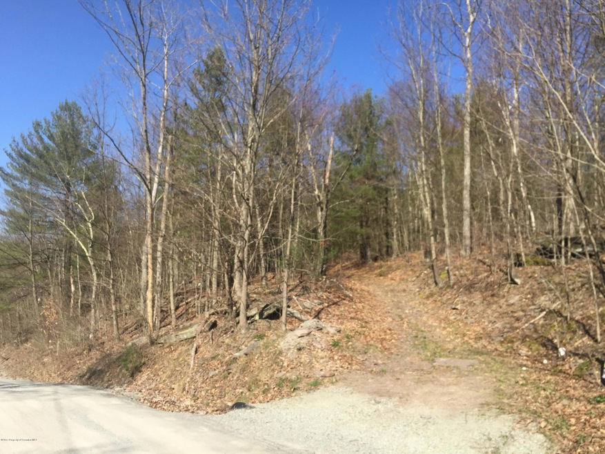 0 Coolbaugh Mountain Rd, Exeter Township, PA 18615 - photo 1