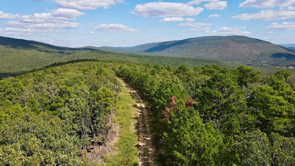 0 Aslin Prairie Rd unit 22990167, Talihina, OK 74571 - photo 1